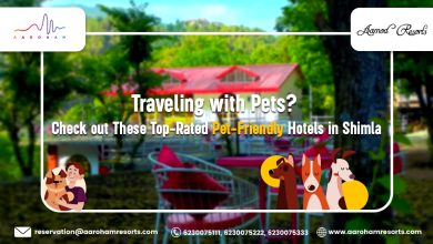 Photo of Traveling with Pets? Check out These Top-Rated Pet-Friendly Hotels in Shimla