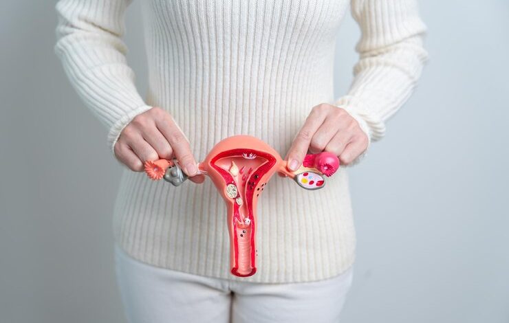 Understanding Female Reproductive Health